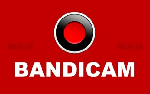 Bandicam v8.0.0.2509 班迪录屏，高清录屏软件中文免费版