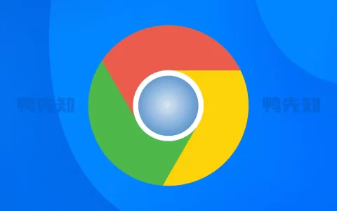 Google Chrome v136.0.7103.93 谷歌Chrome浏览器，便携增强版