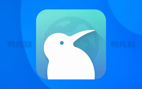 KiwiBrowser v124.0.6327.4_ 支持Chrome扩展程序的手机浏览器，官方清爽版