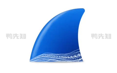 Wireshark v4.4.2.0 网络抓包工具中文绿色版