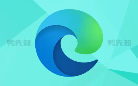 Microsoft Edge v142.0.3595.69 微软Edge浏览器，便携增强版