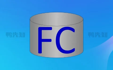 FastCopy v5.2.4 文件快速复制工具，汉化修改版