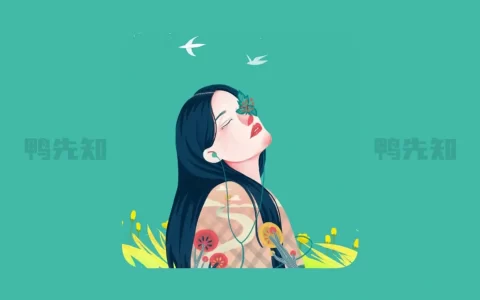 听下音乐 v2.2.2 Plus 一款插画UI音乐下载神器听下音乐，无视付费限制，免费下载