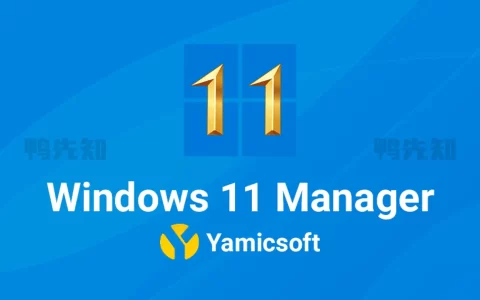 Windows 11 Manager 1.4.3 Win11优化大师，中文汉化解锁版