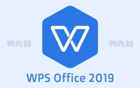WPS Office 2019 v11.8.2.12300 专业增强版
