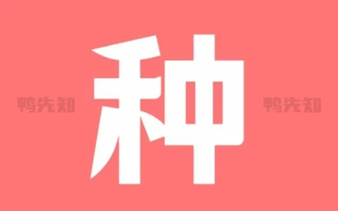 种子磁力下载器 v1.5.6 简洁又实用的资源下载软件，解锁会员版