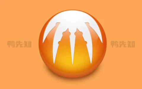 BitComet v2.10.10.9 比特彗星，老牌国产BT下载软件，解锁全功能豪华版