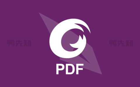 福昕PDF编辑器 v13.1.1.22432 专业PDF编辑软件，解锁专业版/绿色便携版