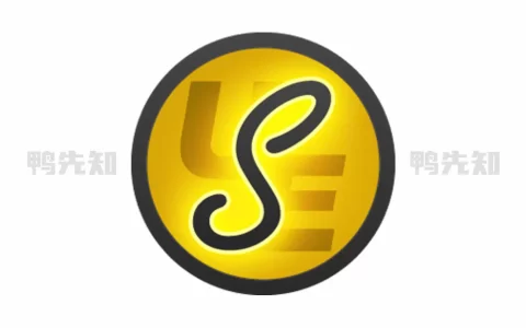 IDM UEStudio v24.2.0.41 代码编辑器及IDE调试器，绿色中文解锁版