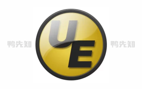 IDM UltraEdit v31.2.0.41 代码编辑器软件，绿色中文解锁版