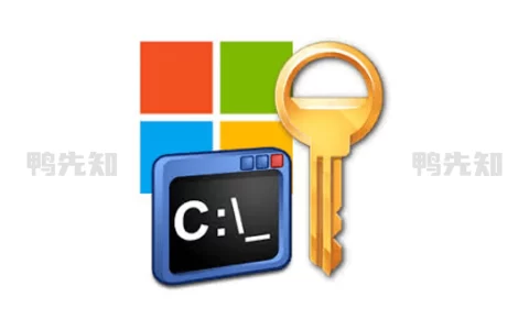 Microsoft Activation Scripts v3.2 Microsoft激活脚本，中文汉化版