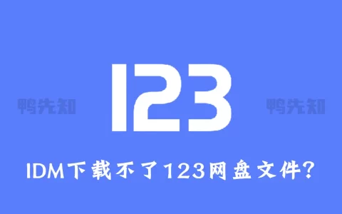 123网盘无法下载，取消IDM代理123网盘，IDM无法下载123网盘文件怎么办？