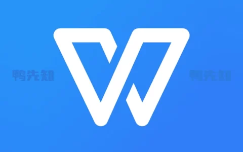 WPS Office Pro v13.37.6 干净无广告，无模板皮肤等付费功能，企业版附激活码