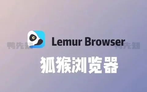 狐猴浏览器 v2.6.1.022 Lemur Browser，支持谷歌、微软插件的手机浏览器官方版/精简版