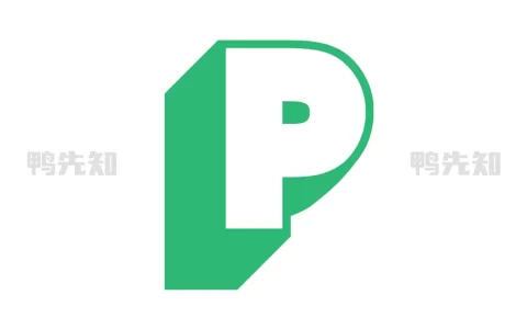 PiliPala v1.0.27.0402 B站第三方客户端，播放界面功能齐全，支持弹幕、画质调整等