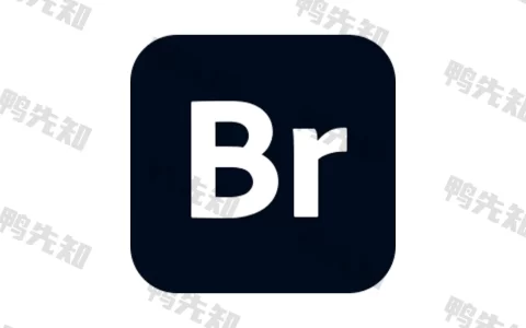 Adobe Bridge 2024 直装激活版