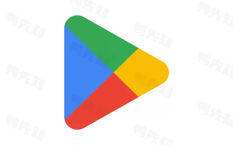 Google Play Store v45.9.19 谷歌商店，谷歌应用市场，安卓系统官方应用商店客户端