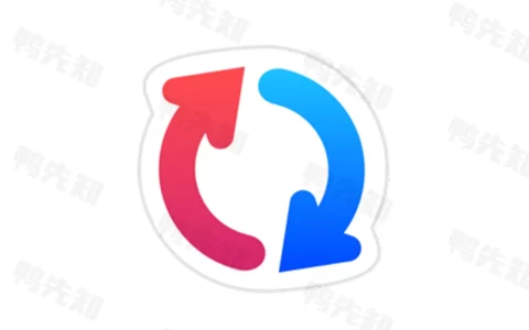 GoodSync v12.9.8.8 数据同步备份软件及网盘管理工具，解锁高级版