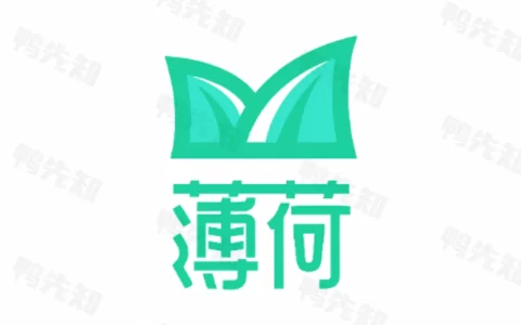 薄荷下载 v1.2.2 一款无广告免费好用的磁力下载工具，会员解锁版