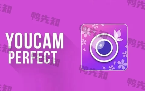 YouCam Perfect v6.11.6 玩美相机，修图、自拍、相片编辑软件，解锁高级版