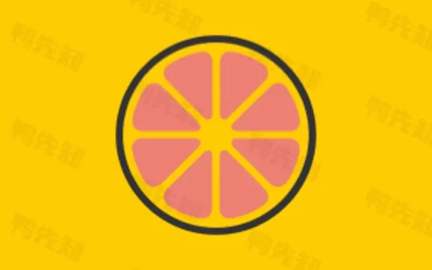 柚子下载 v1.0.5 一款高效磁力下载器，支持倍速、投屏，解锁会员版