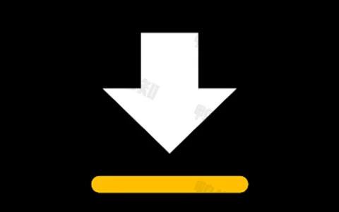 Video Downloader v2.3.8 视频下载器，解锁专业版