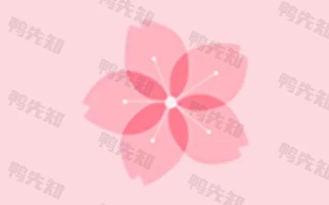 搞机工具箱 v10.0.1 电脑端手机工具箱软件，中文绿色版