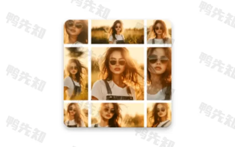 Collage Maker v4.1.7 照片拼贴拼图编辑器，解锁专业版