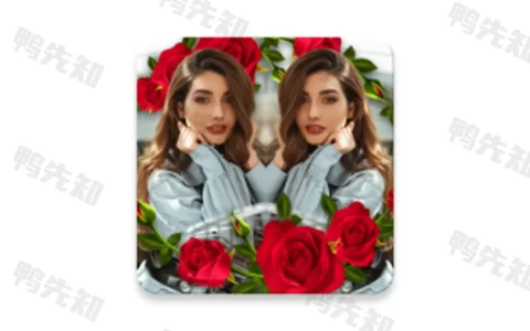 Mirror Collage v3.1.0 拼图编辑天天拼图滤镜大师，解锁专业版
