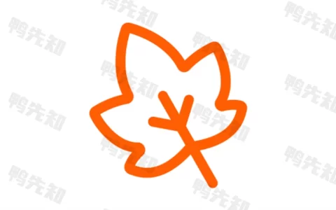 一叶日记 v2.16.0 简洁方便的日记便签记事本，解锁会员版