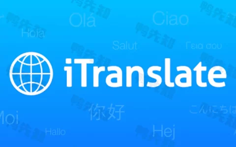 iTranslate v7.1.0 即时翻译，轻松翻译文本、语音转换，解锁专业版