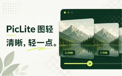 图轻 v1.8.7 PicLite，图片压缩、格式转换、添加水印