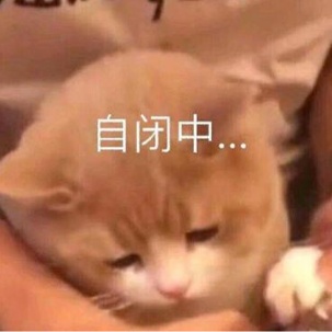 UAay的头像