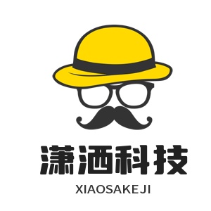 潇洒科技的头像