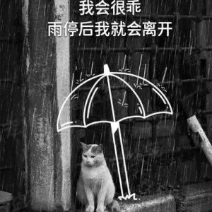 Magiclyan的头像